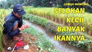 Mancing di Selokan Yang Mengasyikan