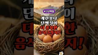 계란보다 단백질이 더 풍부한 음식 5가지! #건강정보 #고단백질 #음식
