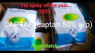 CAPTAP  captan 50% w.p. ||first spray of the year || fungicide used in Kashmir ||