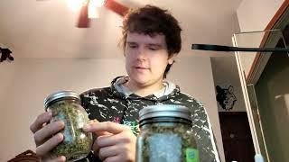 CBD Hemp direct follow up review I got popcorn nugyz