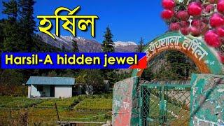 Harsil |  A  hidden jewel | Uttarakhand tour | হর্ষিল |