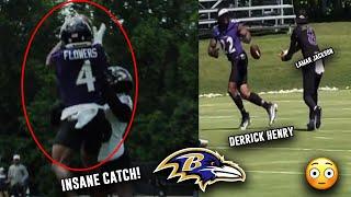 ZAY FLOWERS UNREAL GRAB   Lamar x Henry BACKFIELD  Ravens Mini-Camp Highlights