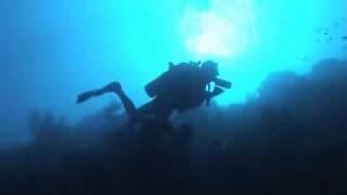 Amazing Dahab underwater world