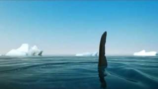 DeLijn Penguin spot