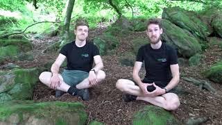 BOOST YOUR IMMUNE SYSTEM with Forest Bathing