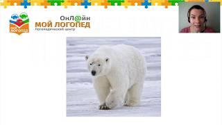 Животные Севера для детей 6-7 лет. Мой  Логопед