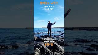 옛날감성 올레길 대지 #제주도토지#제주도부동산#제주신공항