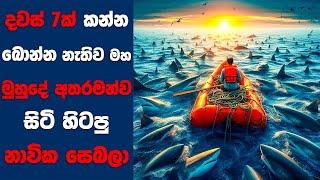 “All is Lost" සිංහල Movie Review | Ending Explained Sinhala | Sinhala Movie Review