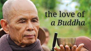 The Love of a Buddha | Teaching by Thich Nhat Hanh | #mindfulness