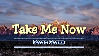 Take Me Now - KARAOKE VERSION - As popularized by David Gates