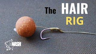 IL TERMINALE BASILARE DEL CARPFISHING: THE HAIR RIG