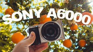 Sony A6000 Still Crushing In 2024