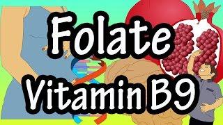 What Is Folate Vitamin B9 - Functions, Benefits Of, Foods High In Folate Vitamin B9