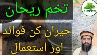 Health Benefits of Basil Seeds Urdu/Hindi | Tukhm e Rehan ke fawaid | Hakeem Zia ur Rehman