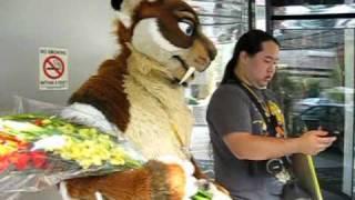 Anthrocon 2010 - Far Out Here Tiger waits for his special someone