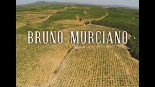 Bruno Murciano, Caudete de las Fuentes, Utiel/Requena, SPAIN. VINEYARDS AND DRONE