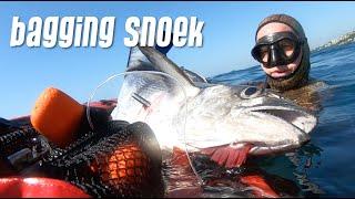 Spearfishing in South Africa |'Bagging Snoek' in KZN