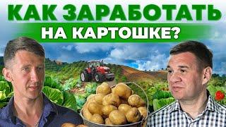 Самый лучший сорт картошки! Как хранить и продавать культуру? Картошка как бизнес | Андрей Даниленко