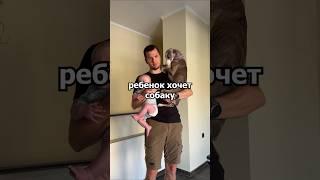 Ребенок хочет собаку? #кинолог #собака