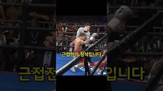 복싱 예술로 하네