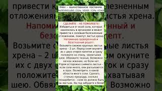 #здоровье #полезныесоветы #духовность #смыслжизни #мудрость