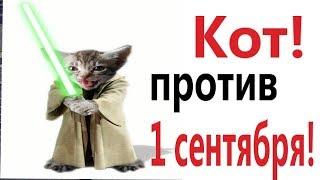 Лютые приколы. КОТ ПРОТИВ – 1 СЕНТЯБРЯ!!! САМОЕ СМЕШНОЕ ВИДЕО! Тест на психику - Domi Show