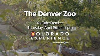 Colorado Experience: The Denver Zoo