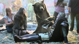 Canal+ "The Bear" by BETC Paris