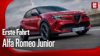 Alfa Romeo Junior Veloce | Erste Fahrt mit Rolf Klein