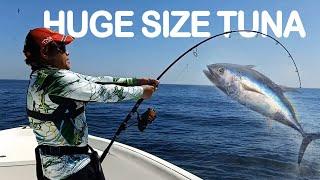 Tuna Expedition Oman | Daiwa BG