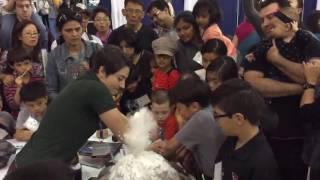 Erupting a stratovolcano at AAAS Family Science Days