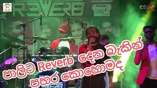 Reverb With Pali Bagra | Maraka SHAKTHI Colur Night 2023