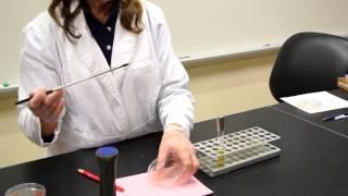 How to Streak for Isolation Bacteria - MCCC Microbiology