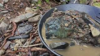 Creek Digging For Gold In California