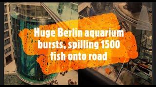 Huge Berlin aquarium bursts, spilling 1500 fish onto road