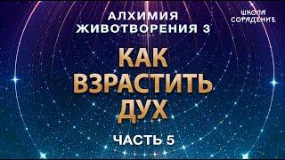 Как взрастить Дух #АлхимияЖивотворения3 #Гарат #дух #ЖивыеСеминары