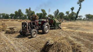 DIGITAL KISAN Pakistan is liveُ Wheat Threesher with Massey Tractor today