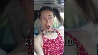 #viralshort #viralvideo #viralshorts #viralvideos #coverland #carseatcover