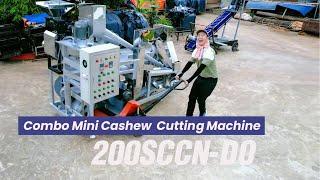 Combo Cashew Cutter machine for Processing Unit Capacity 2tons, 3 tons, 5tons, 7tons, 10tons per day