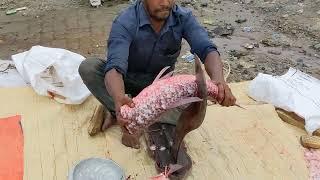 Amazing Blood Carp Fish Cutting Skills #fishcuting