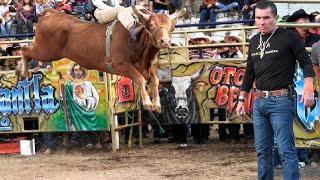 !! MEMO ACAMPÓ LLEGO CON SUS MEJORES TOROS A LA CAÑADA DE COENEO MICHOACÁN ¡¡ 22 DE DICIEMBRE  2022