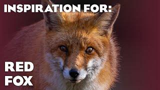 7 Real Red Fox Habitats! (Planet Zoo Inspiration)