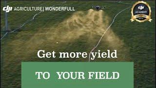 Get more yield in your field | DJI Agriculture Canada | Wonderfull Inc