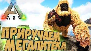 Приручаем МЕГАПИТЕКА - ARK Survival Evolved Аннунаки на Ragnarok #41