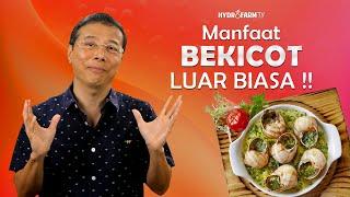 MANFAAT BEKICOT YANG LUAR BIASA !!