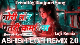 gori tori patari kamariya slowed reverb | trending bhojpuri song | lofi remix | bhojpuri song 2024