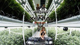 MOLLYWOOD CANNABIS PLANTAGE #3 - XENIA HARDTECHNO