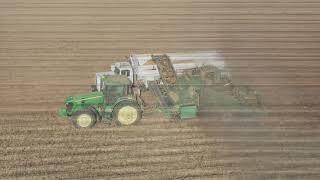 Potato Harvest