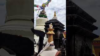 Namo Buddha !! Temple #short #video