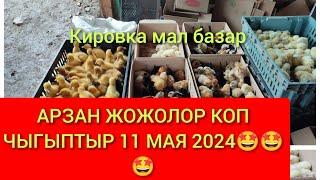 ТАЛАС АЙТМАТОВ РАЙОНУ КИРОВКА ТООК БАЗАР 11МАЯ 2024